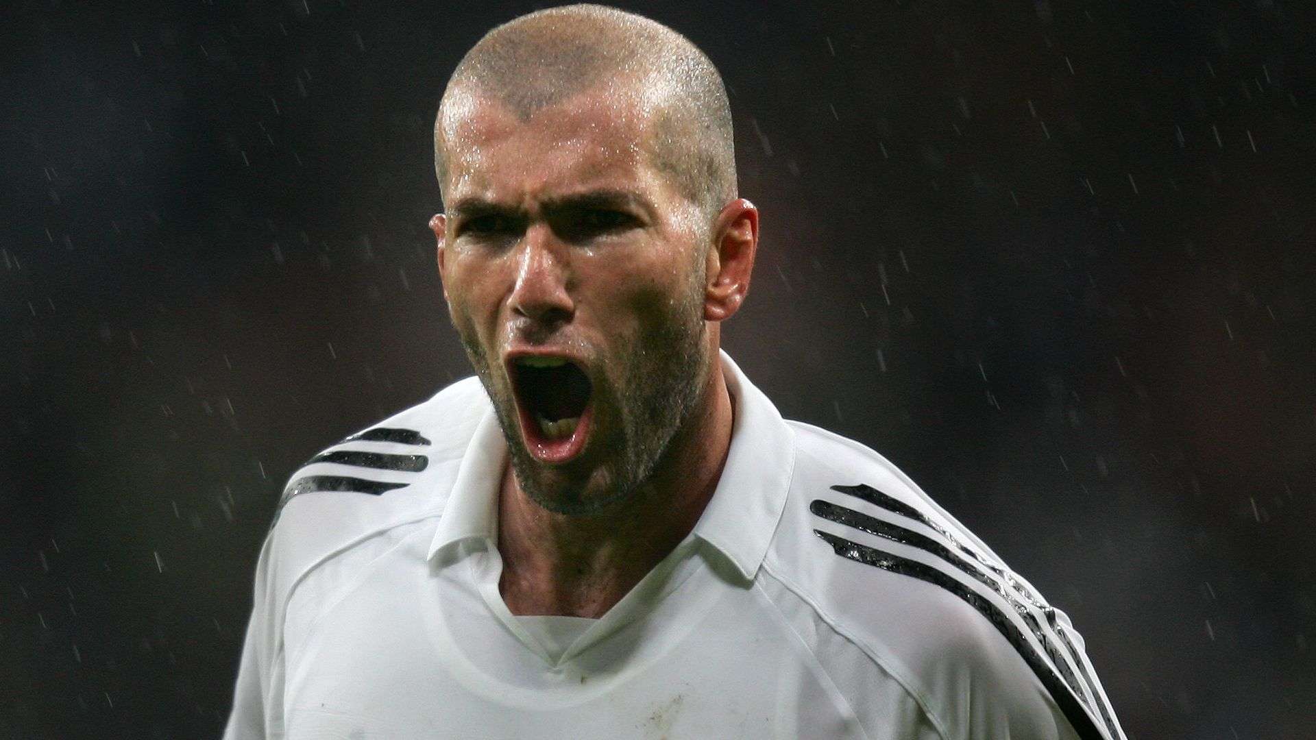 促使切尔西 促使切尔西