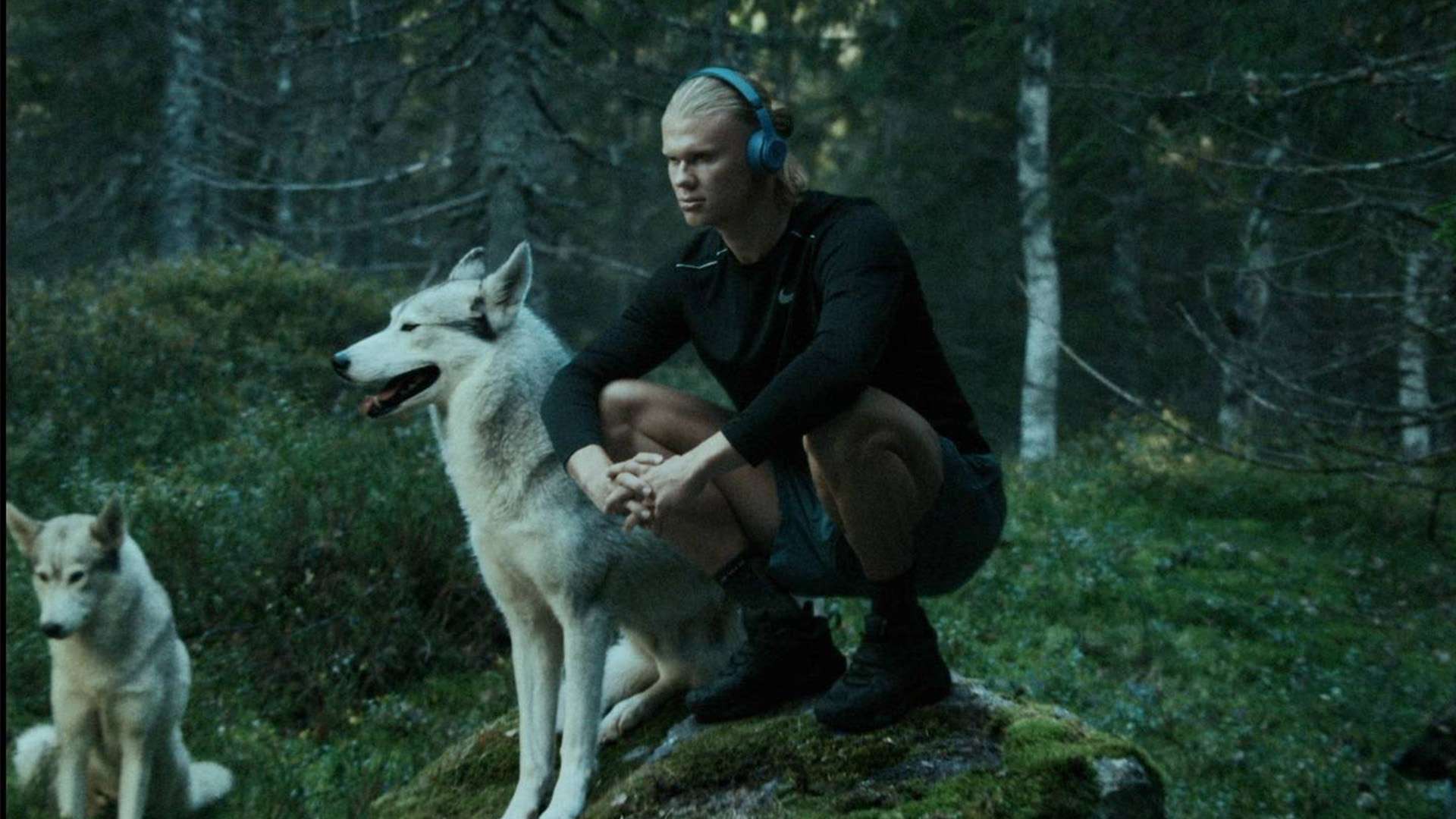 速的判断 速的判断